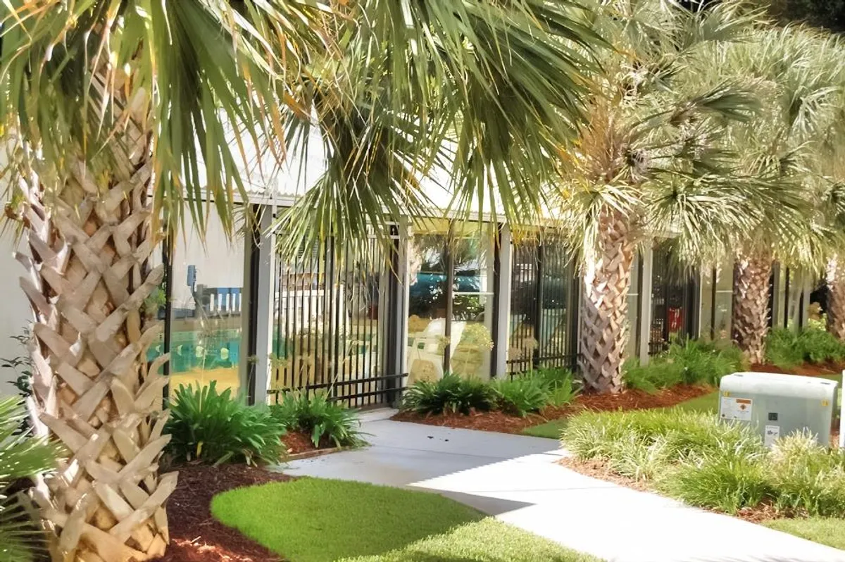 A landscaped exterior pathway lined with palm trees leads to a building featuring large glass windows. The setting is tranquil and inviting, perfect for leisurely strolls or relaxing outdoors. The lush greenery connects residents with Myrtle Beach’s natural beauty.